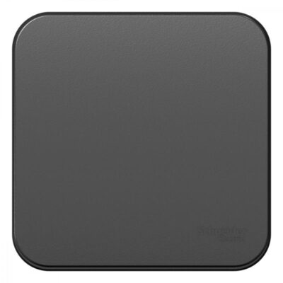 Переключатель проходной 1-кл. ОП Blanca 10А IP20 (сх. 6) 250В с изолир. пластиной антрацит SE BLNV