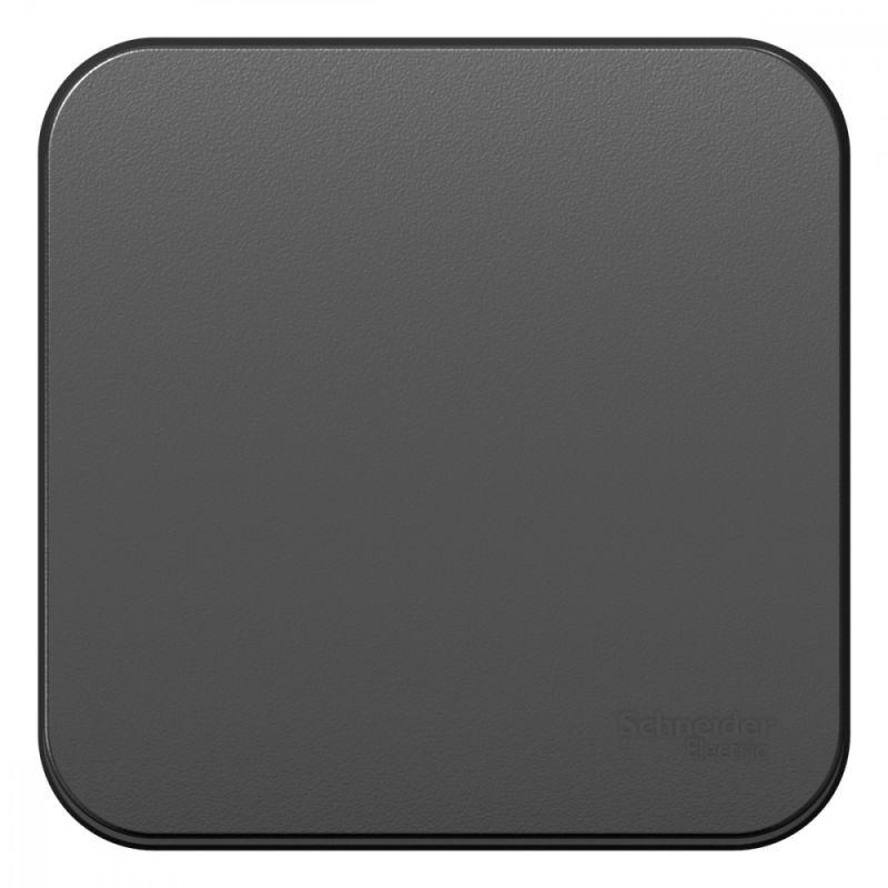 Переключатель проходной 1-кл. ОП Blanca 10А IP20 (сх. 6) 250В с изолир. пластиной антрацит SE BLNV Переключатель проходной 1-кл. ОП Blanca 10А IP20 (сх. 6) 250В с изолир. пластиной антрацит SE BLNV