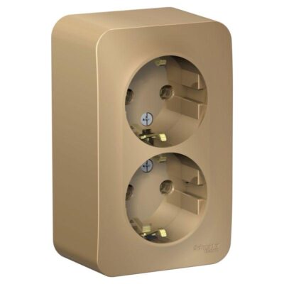 Розетка 2-м ОП Blanca 16А IP20 250В с заземл. без защ. шторок с изолир. пластиной титан SE BLNRA01