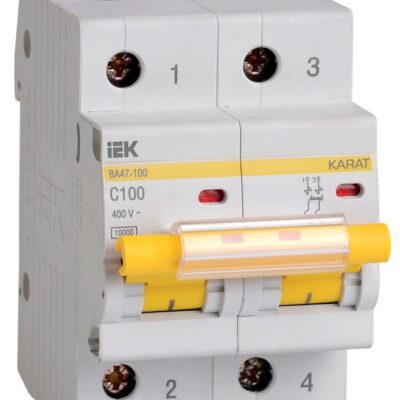 Выключатель автоматический модульный 2п C 100А 10кА ВА47-100 IEK MVA40-2-100-C