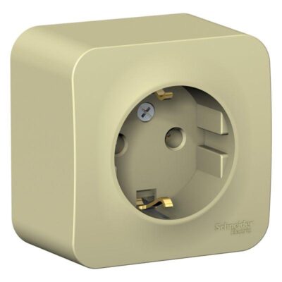 Розетка 1-м ОП Blanca 16А IP20 250В с заземл. без защ. шторок с изолир. пластиной беж. SE BLNRA010