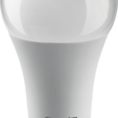 Лампа светодиодная 61 954 OLL-A60-25-230-4K-E27 25Вт ОНЛАЙТ 61954