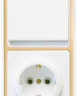 Блок БКВР-031 Бэлла (1-кл. выкл. + розетка с заземл.) зол. Кунцево 5820