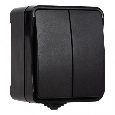 Выключатель Smartbuy 2-клавишный 10А, IP54, черный, "Сатурн" (SBE-04b-10-SW2-0) (18)