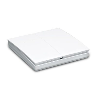 Feron TM82 250V 500W выключатель дистанционного управления 2-кл., белый (без контроллера) 1/200