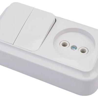 Блок ОП (розетка без заземл. + 2-кл. выкл.) бел. Пралеска Bylectrica 2В-РЦ-523