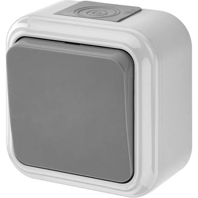 Выключатель 1-кл. ОП IP54 серый ПРАЛЕСКА АКВА Bylectrica А1 6-222 (03)