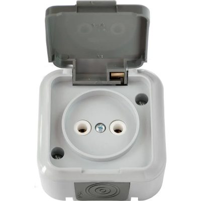 Розетка 1-м ОП IP54 с крышкой серая Пралеска АКВА Bylectrica РА16-296(03)